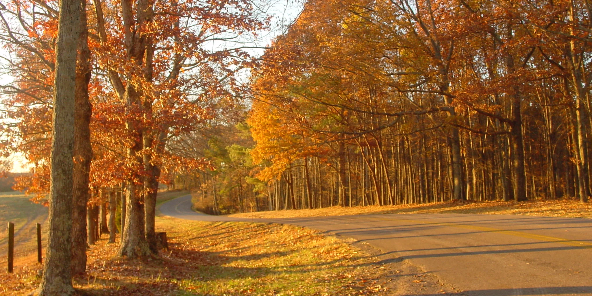 Un camino sinuoso entre árboles otoñales en David Crockett State Park