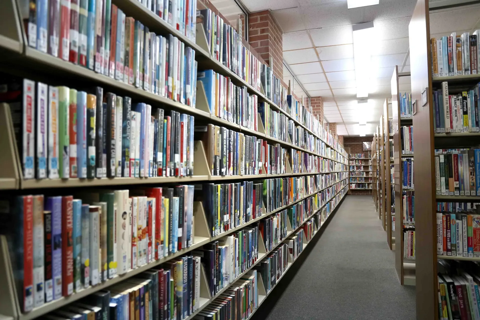 Hileras de estanterías en la sección de adultos de la biblioteca