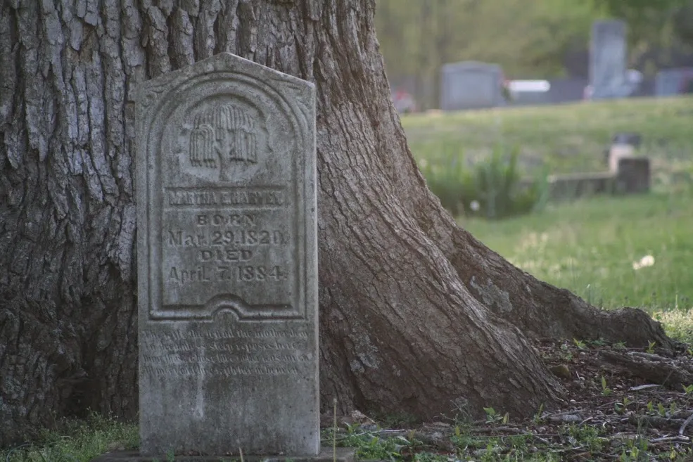 Una lápida desgastada bajo un gran árbol en un cementerio antiguo